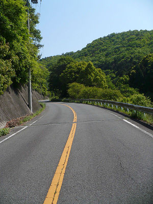 9050802s.jpg