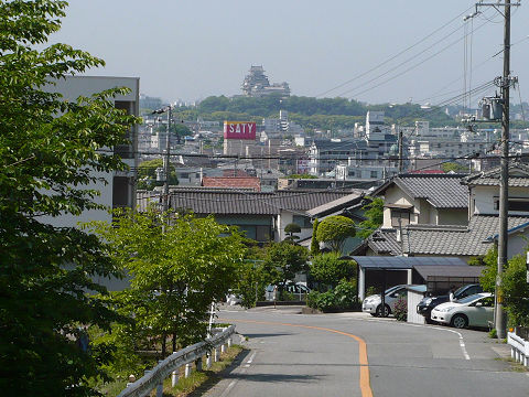 9050803s.jpg