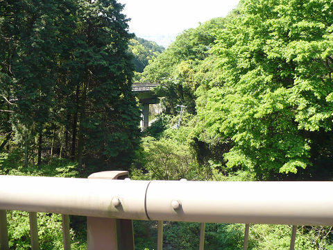9050808s.jpg
