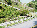 9050810s_thumb.gif
